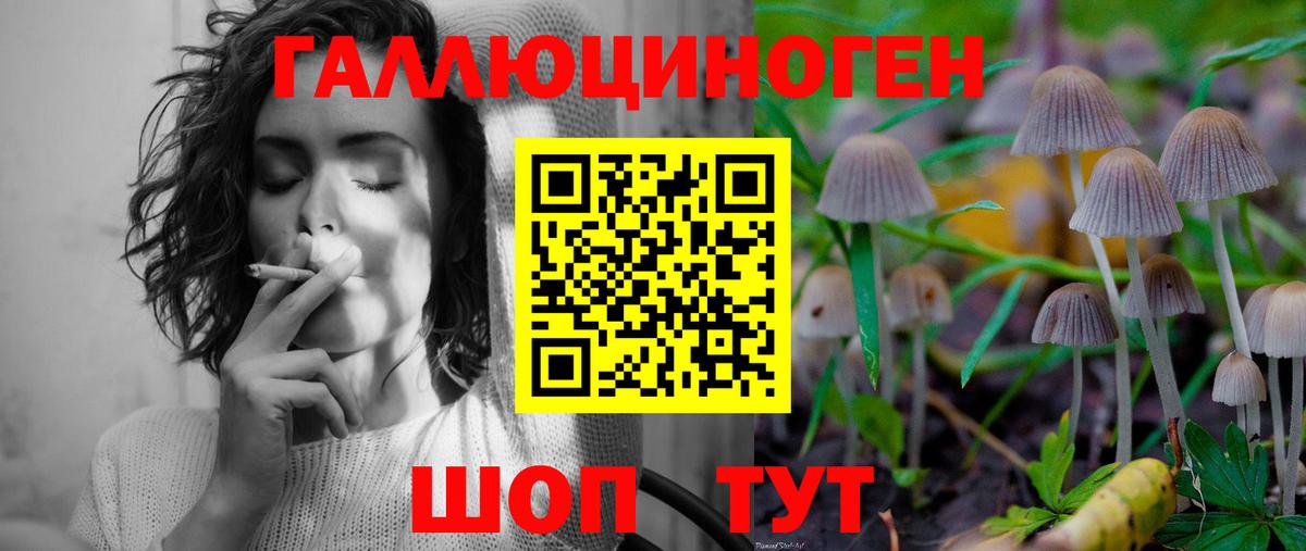 Великий Устюг  Галлюциногенные грибы MAGIC MUSHROOMS  Вход с VPN 