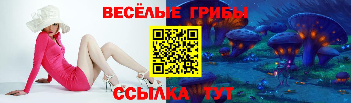 Галлюциногенные грибы прущие грибы Великий Устюг